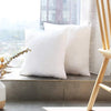 Luxury Pack Of 2 Filled Cushion