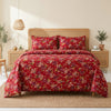 3 PCs Vibrant Printed Bedsheet