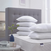 Pack Of 6 PC Filled Pillows